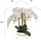 3-Pack Premium White Phalaenopsis Orchids | 9"x13" Decorative Bowl – Elegant Faux Floral Decor for Home & Office